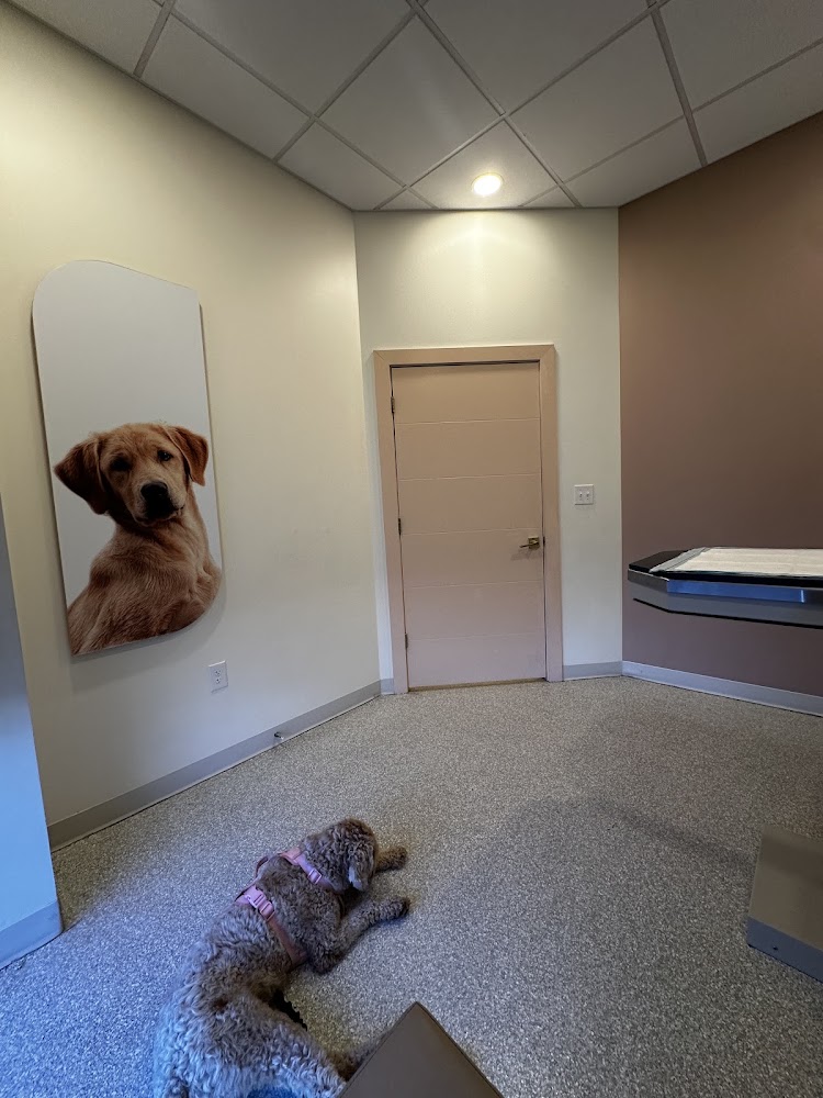 ASAP Vet: Veterinary Urgent Care