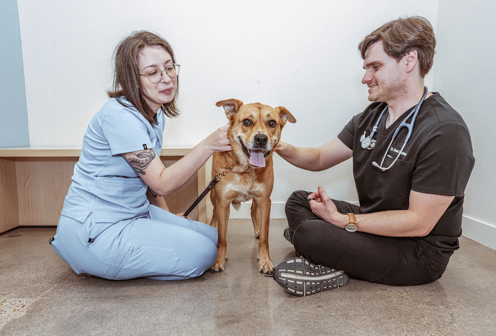 West Austin Pet Hospital