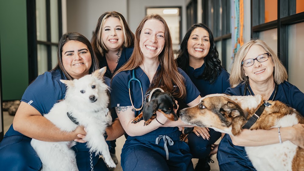 PetVet365 Pet Hospital Georgetown