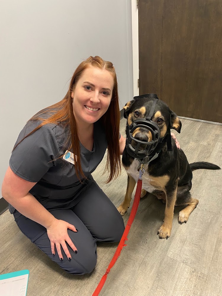 Crestview Veterinary Clinic on Airport Blvd