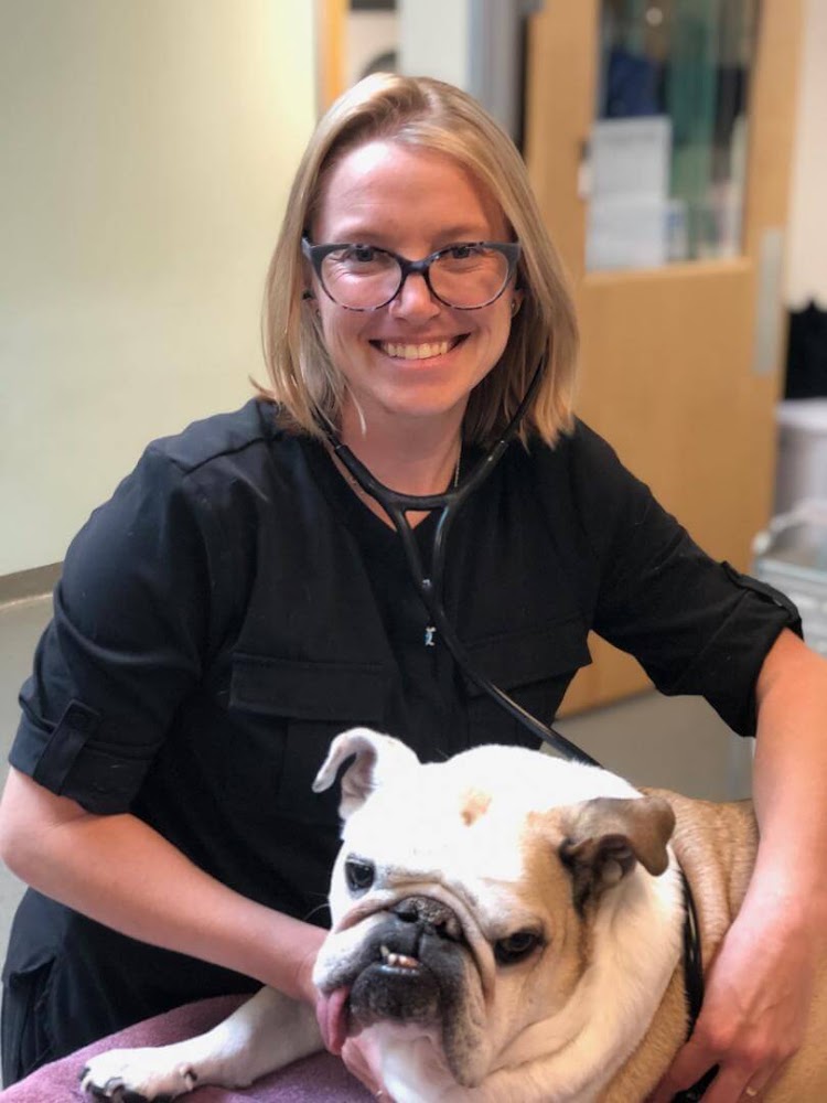 Harris Veterinary Oncology