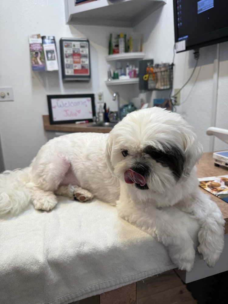 Great Oaks Animal Hospital