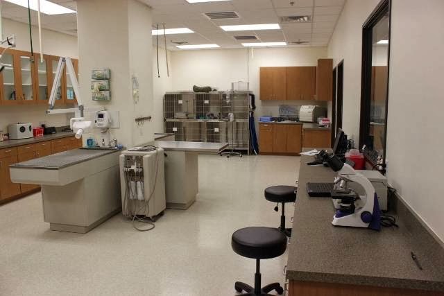 South Park Animal Hospital