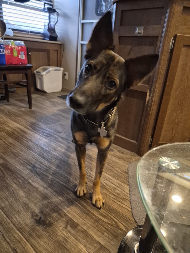Prairie Creek Animal Hospital