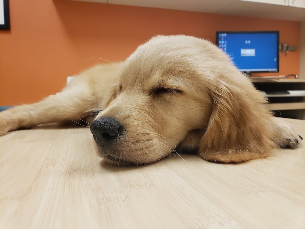 Circle C Animal Hospital