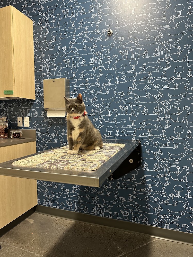Thrive Pet Healthcare - East Austin