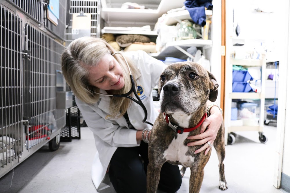 Parker Animal Care