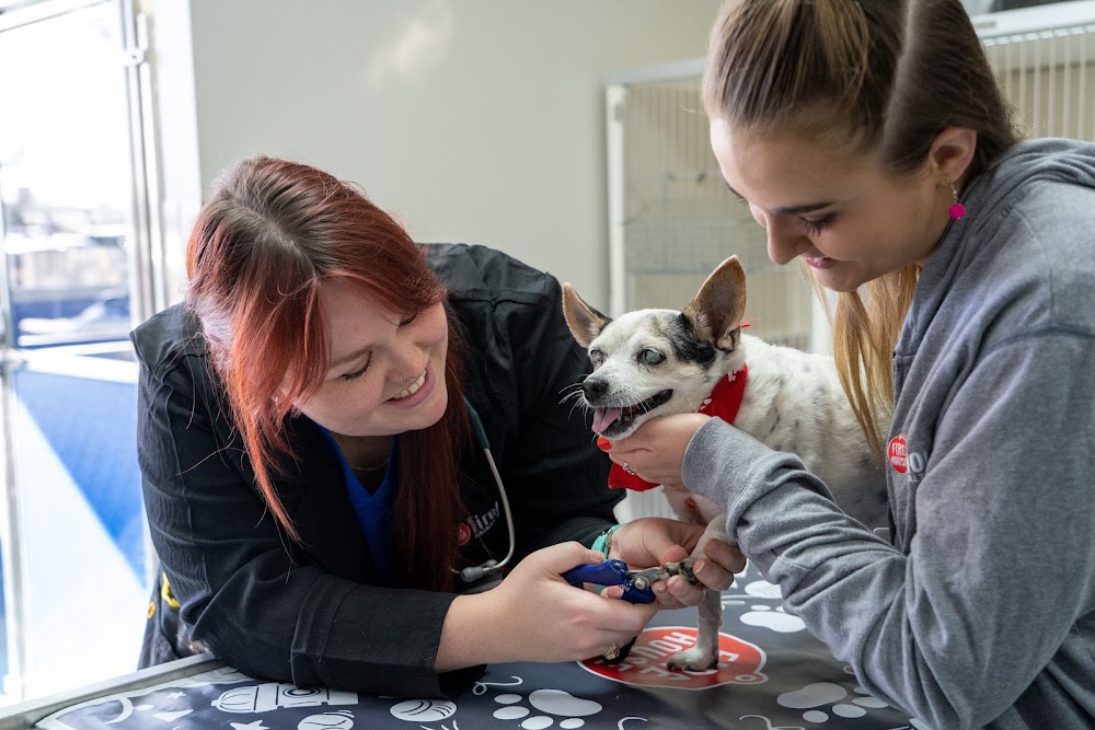 Firehouse Animal Health Center 183