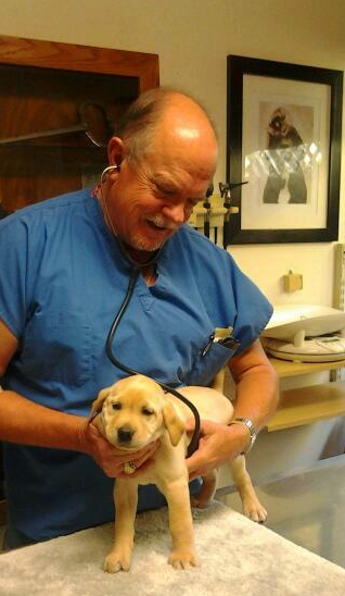 Brykerwood Veterinary Clinic
