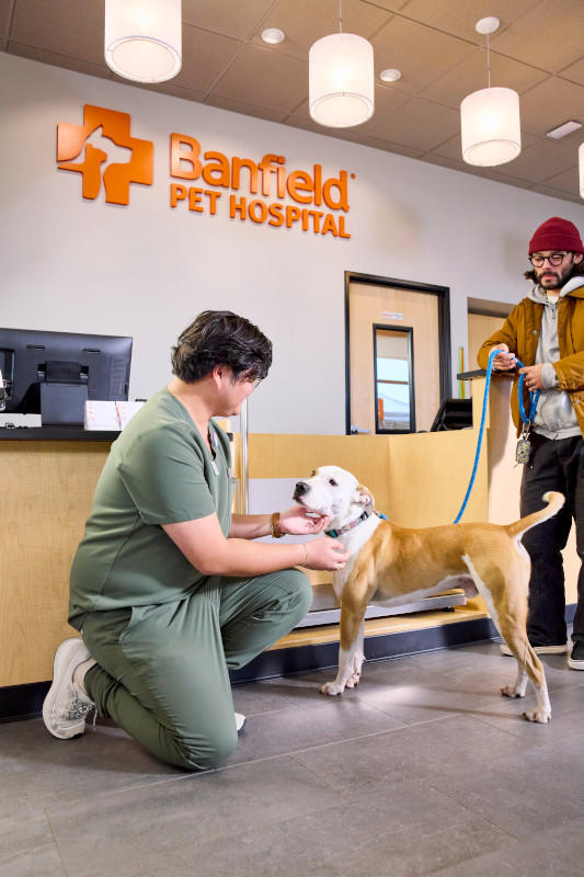 Banfield Pet Hospital