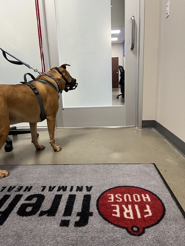 Firehouse Animal Health Center Cedar Park