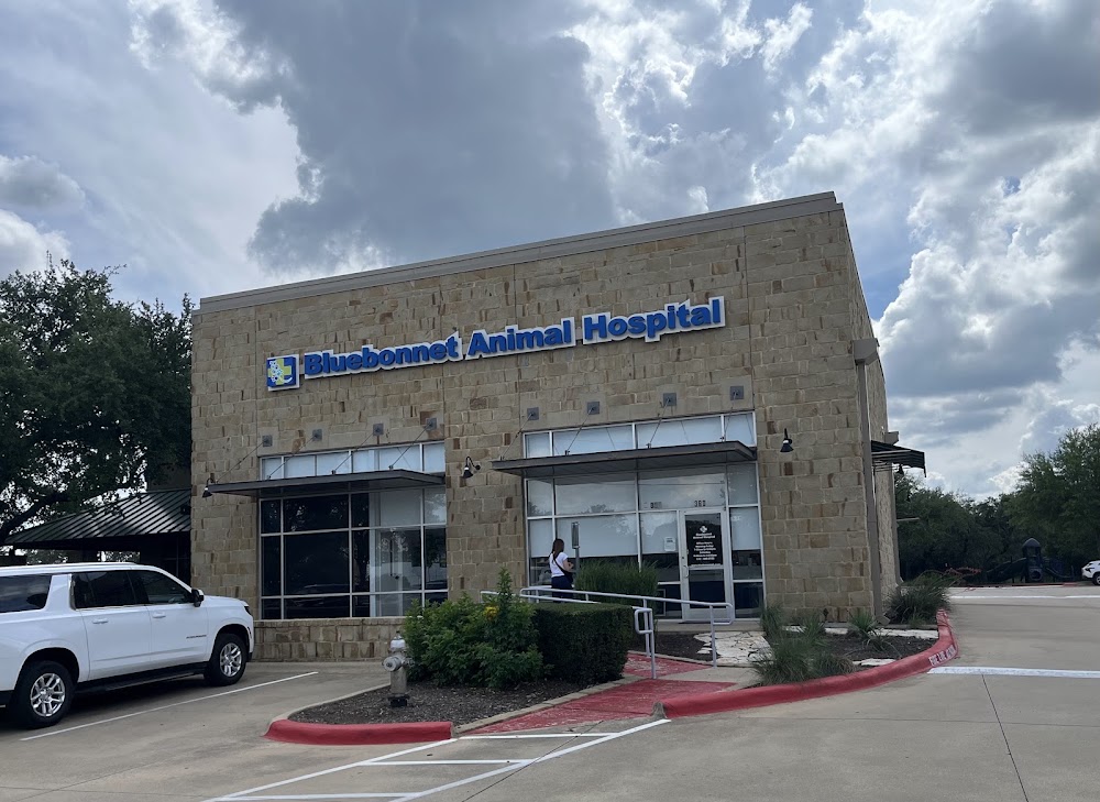 Bluebonnet Animal Hospital - Circle C