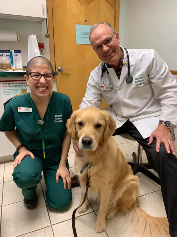 Brodie Animal Hospital