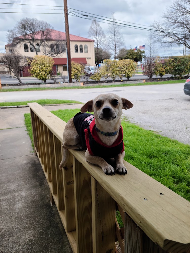 Wells Branch Pet & Bird Clinic