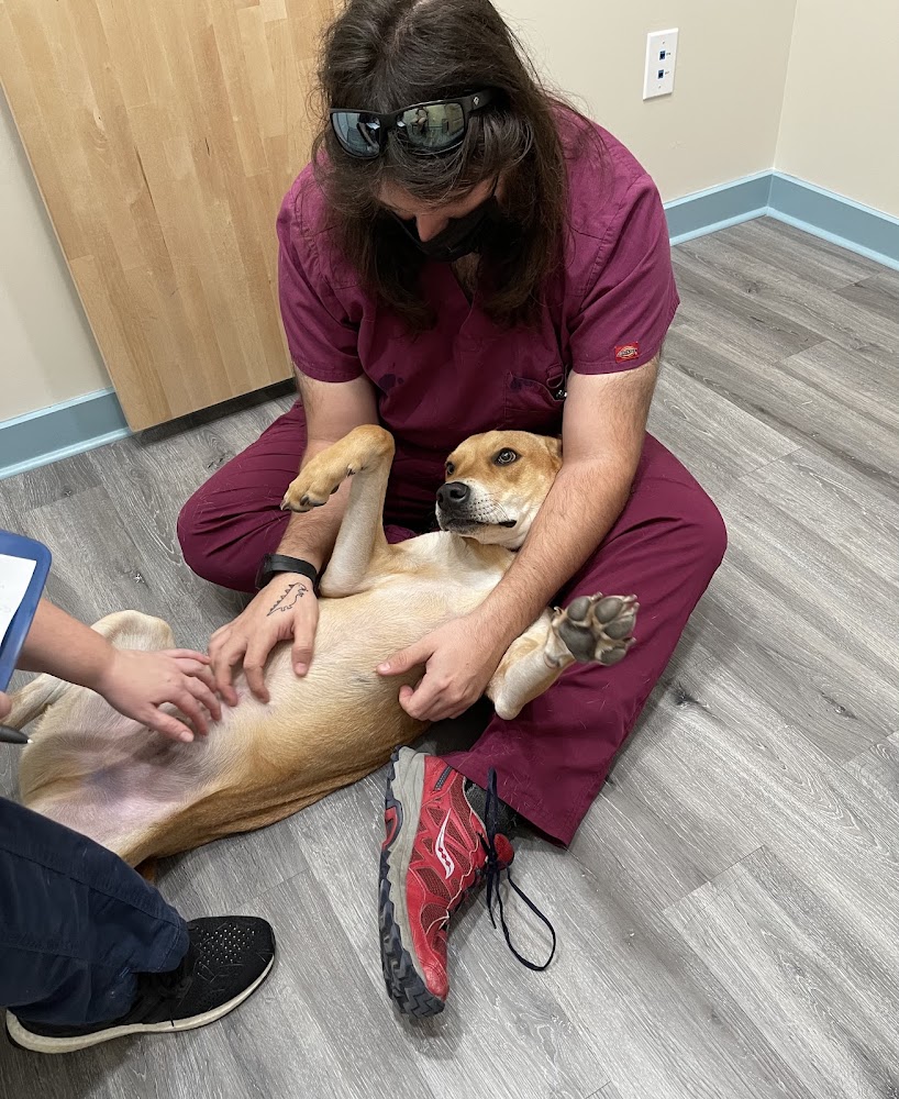 Windsor Park Veterinary Clinic