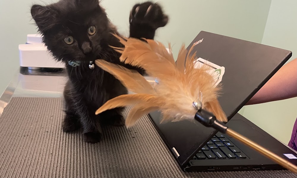 Emerald Veterinary Service
