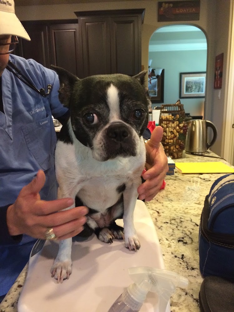 Vida Veterinary Mobile Services