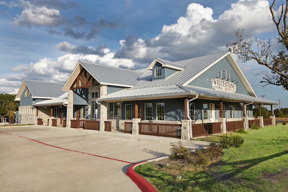 Whitestone Animal Hospital