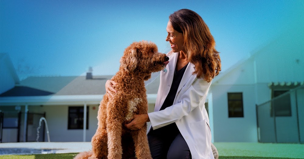 NewDay Veterinary Care Cedar Park