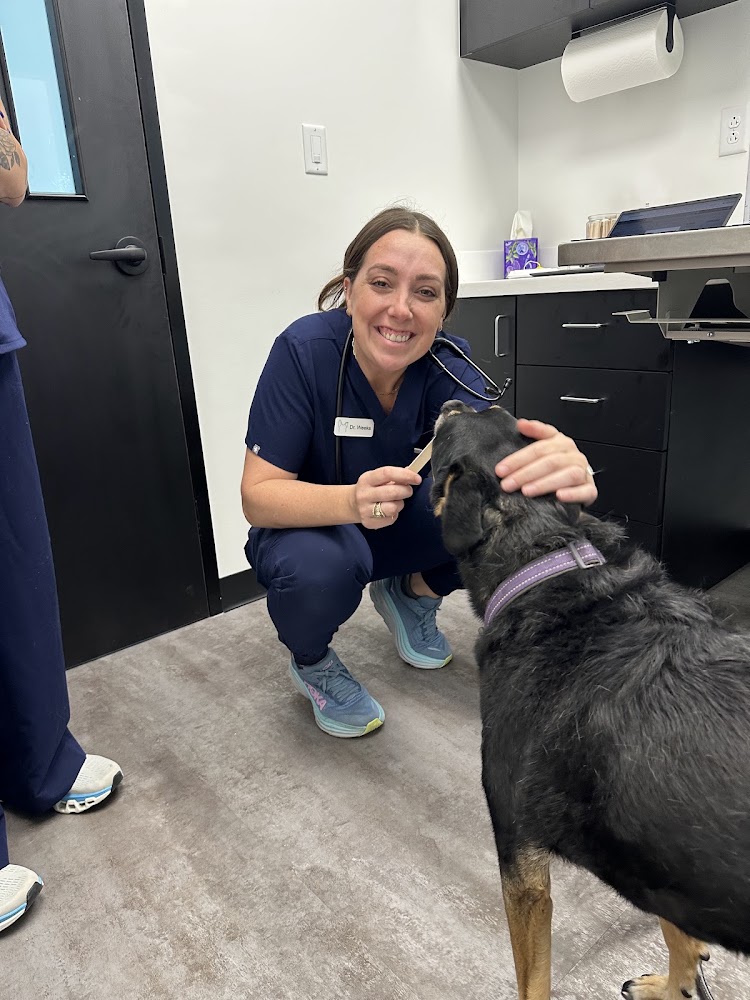 Pinnacle Pet Hospital