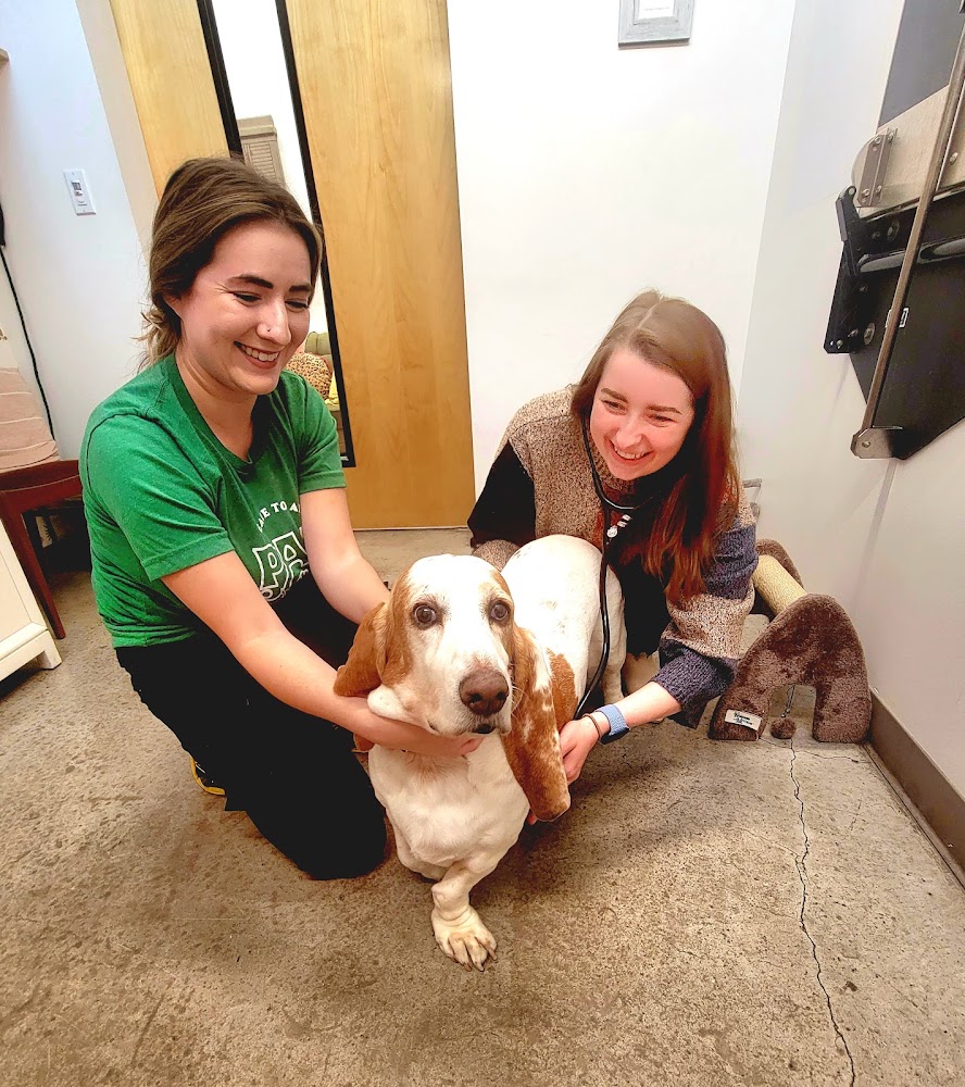 PAZ Veterinary South