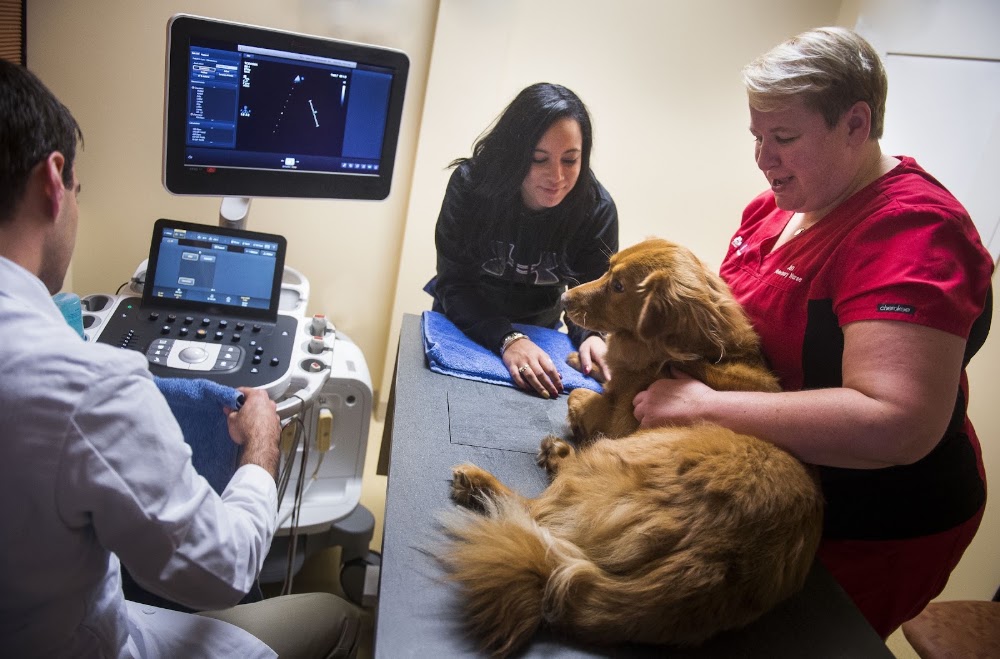 CVCA Cardiac Care For Pets