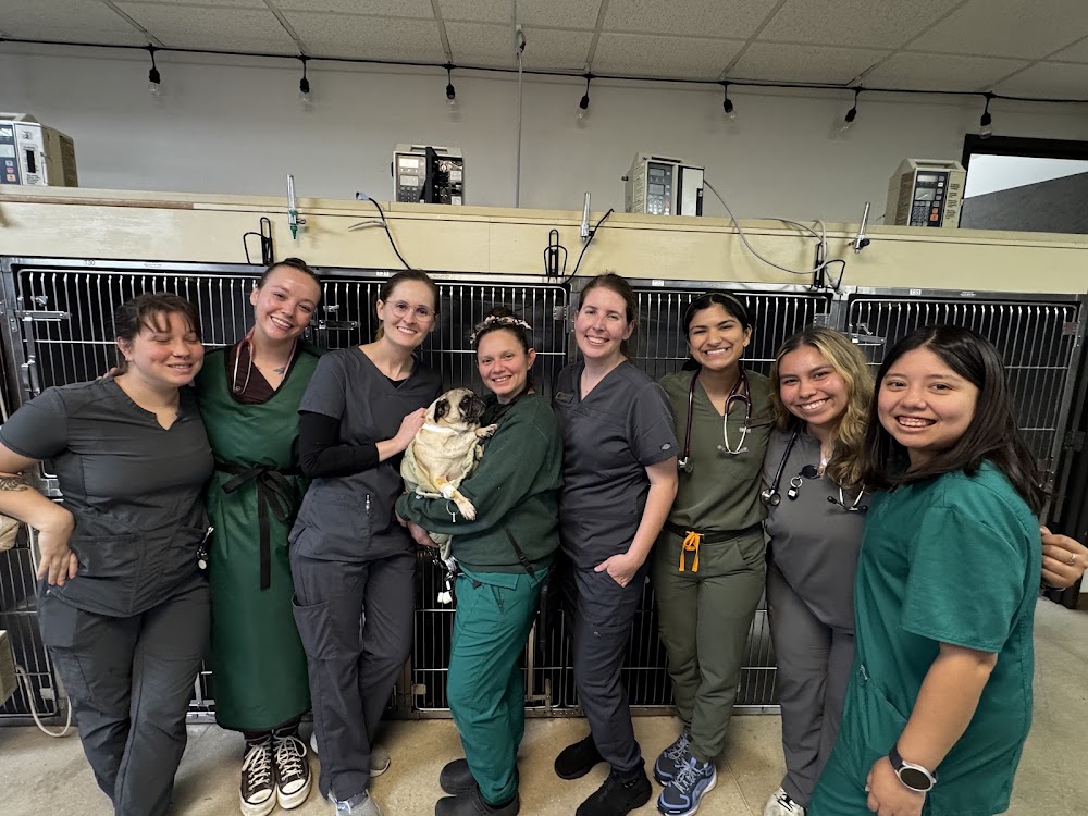Central Texas Veterinary Speciality and Emergency Hospital