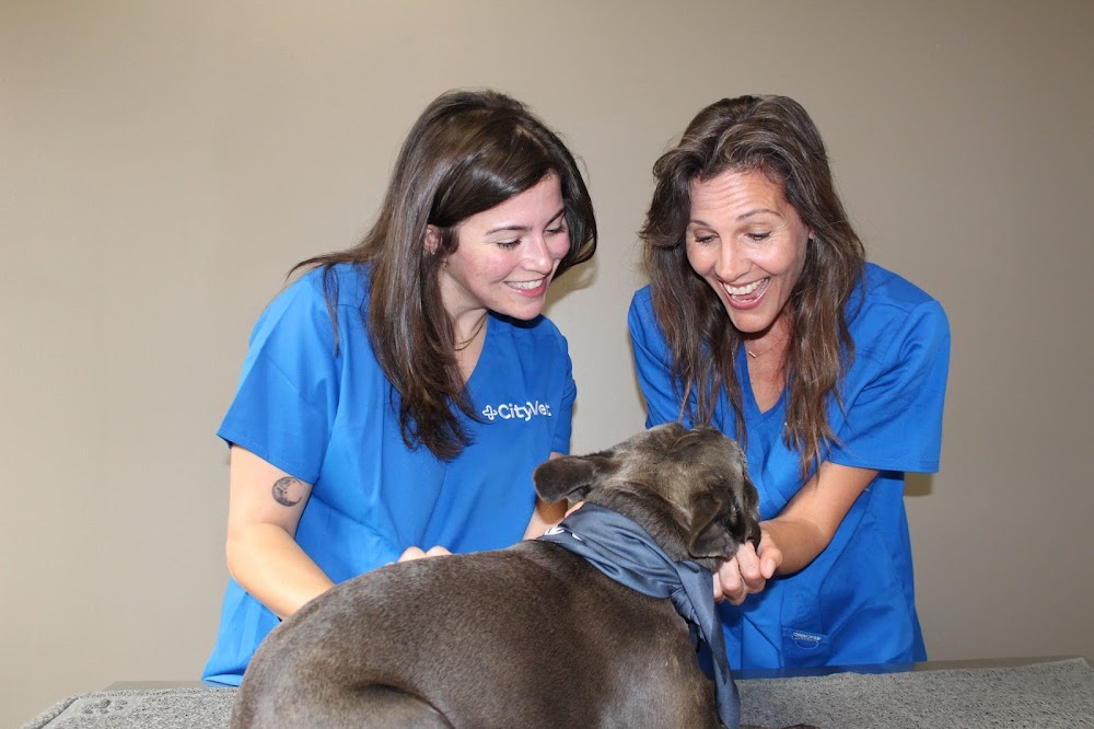 CityVet | Mueller Veterinary Clinic & Urgent Care