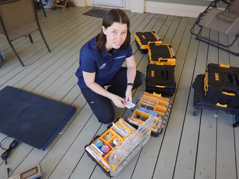 6 Whiskers