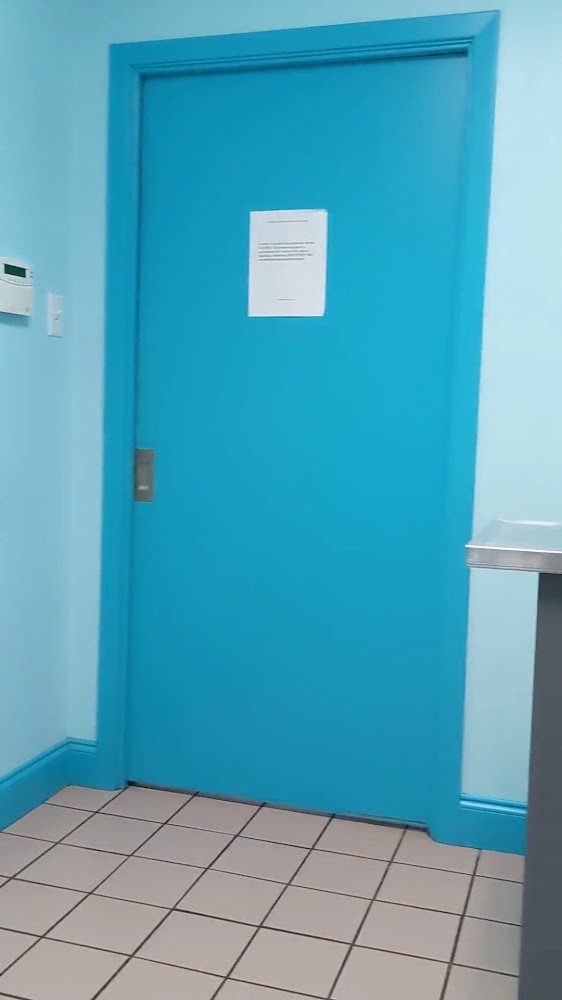 Northwest Austin Veterinary: Boston Billie DVM