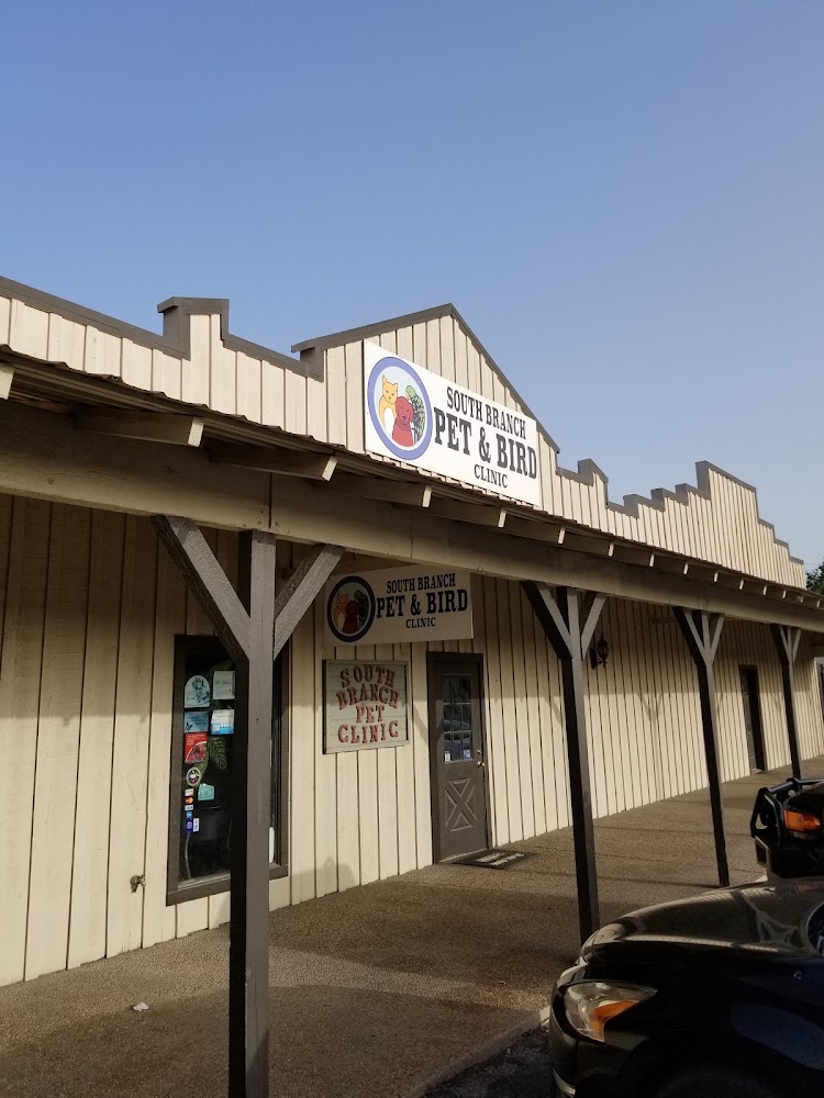 Pet and Bird Clinic