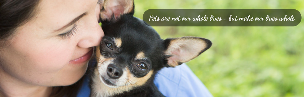 Compassionate Pet Vet